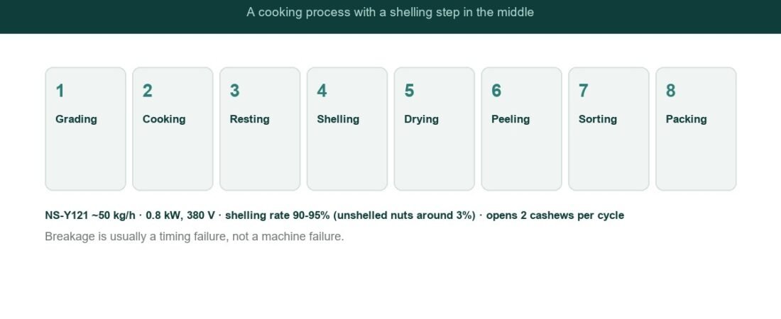 Cashew Processing: The Complete Guide