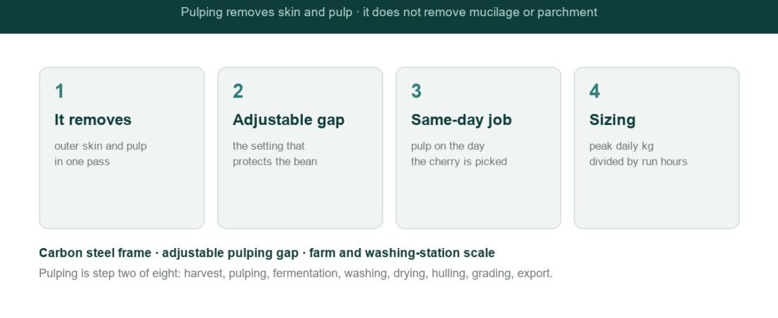 Coffee Fruit Peeling Machine: How Pulping Sets Up Everything That Follows
