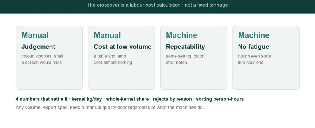 Sorting Kernels: Manual vs Machine Grading