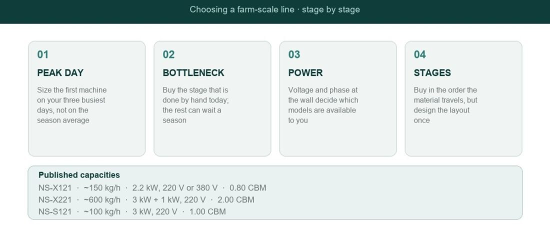Small-Scale Nut Processing: Choosing Equipment for a Farm-Scale Line